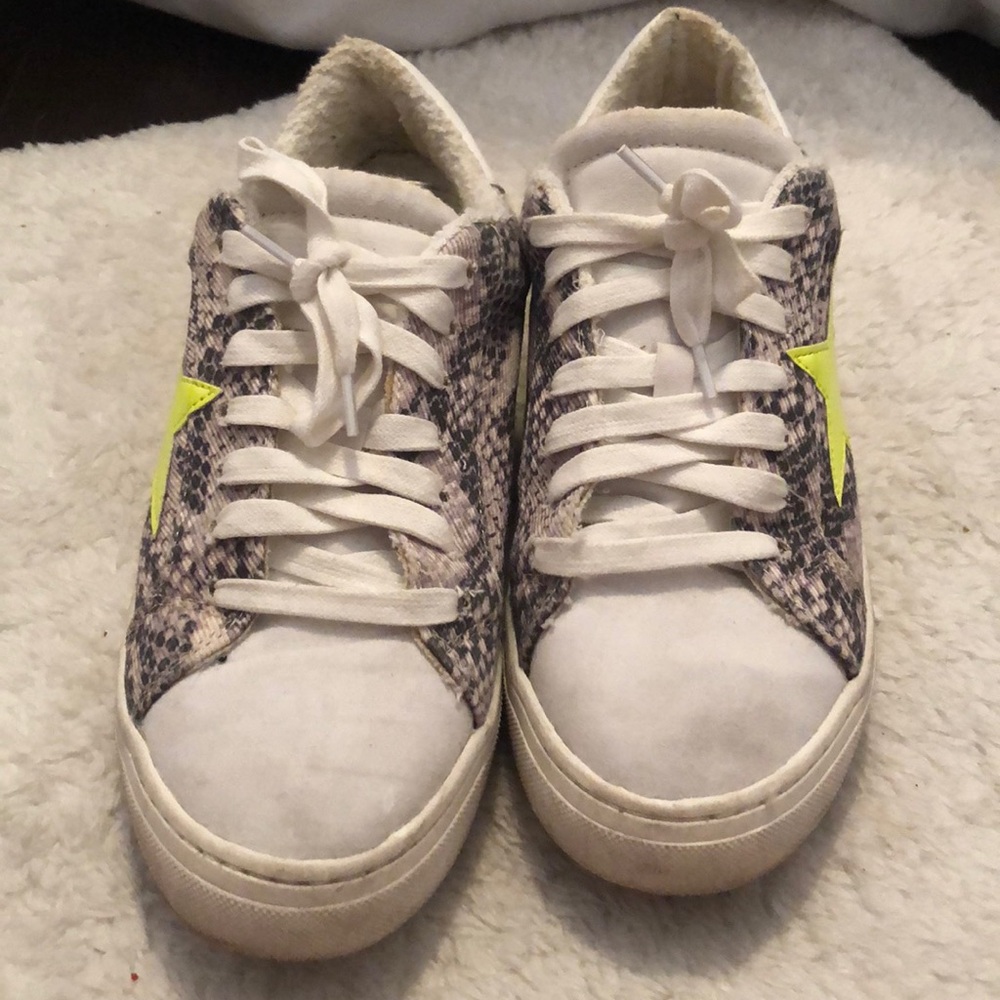 Steve madden Sneakers
